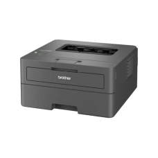 Принтер Brother HL-L2442DW з Wi-Fi (HLL2442DWYJ1)